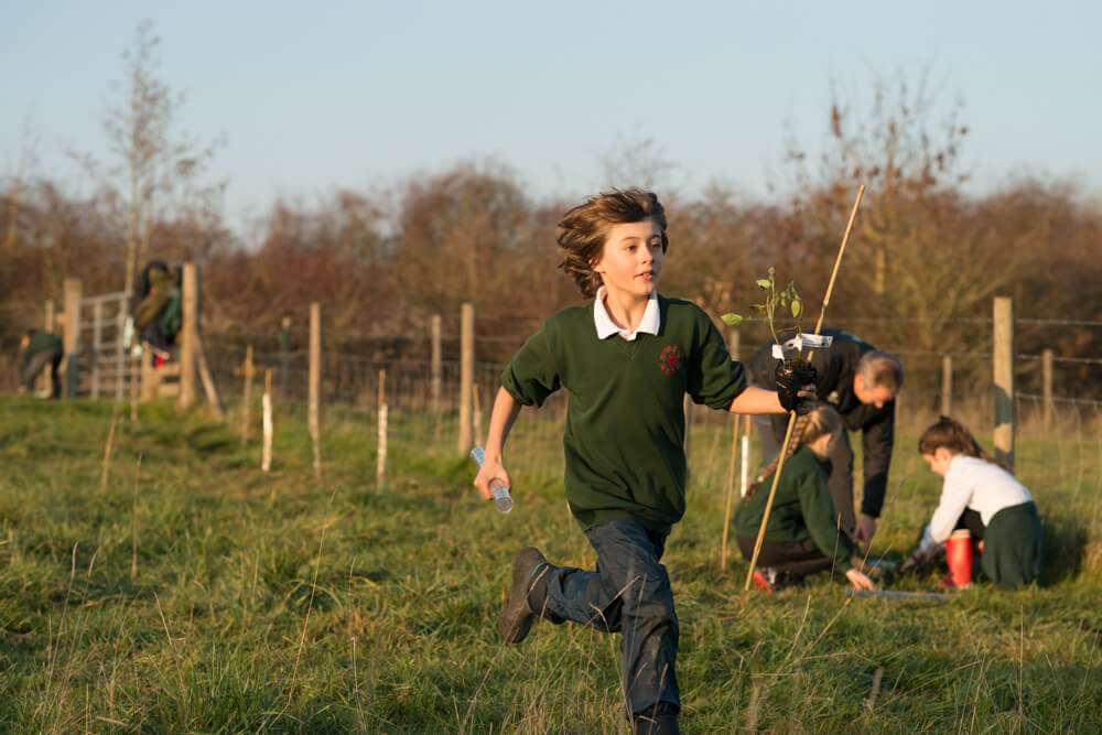 Planting