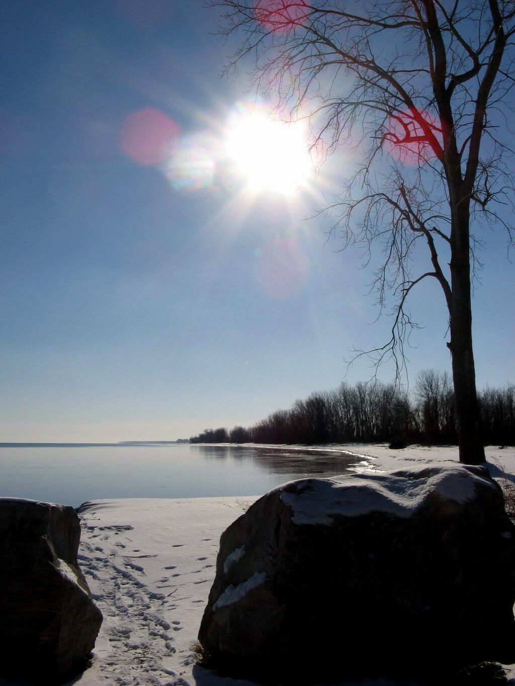 Lake Eerie personhood